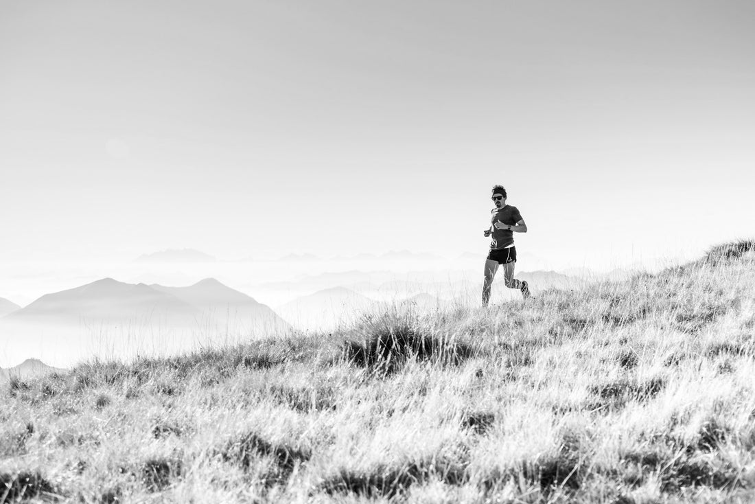 The Power of Showing Up: How Consistency Drives Success